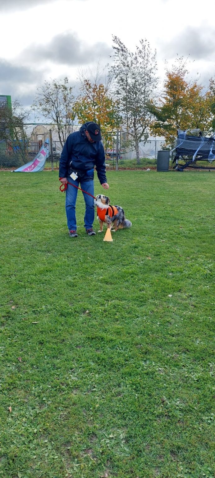 810f580c-be17-45aa-8b2f-4a9b36a02bcf