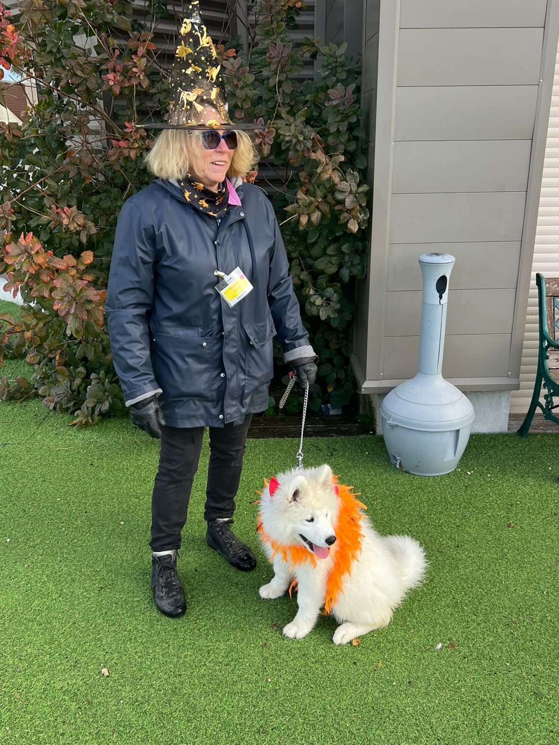 81da6fa7-c801-463a-af78-c9c1cf3479c0