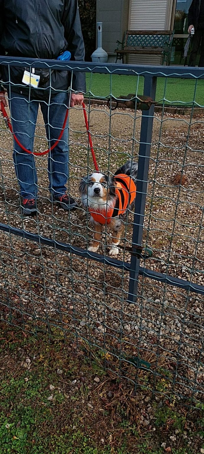 825b3498-e53b-47b9-9c2c-7fa86b6ca251