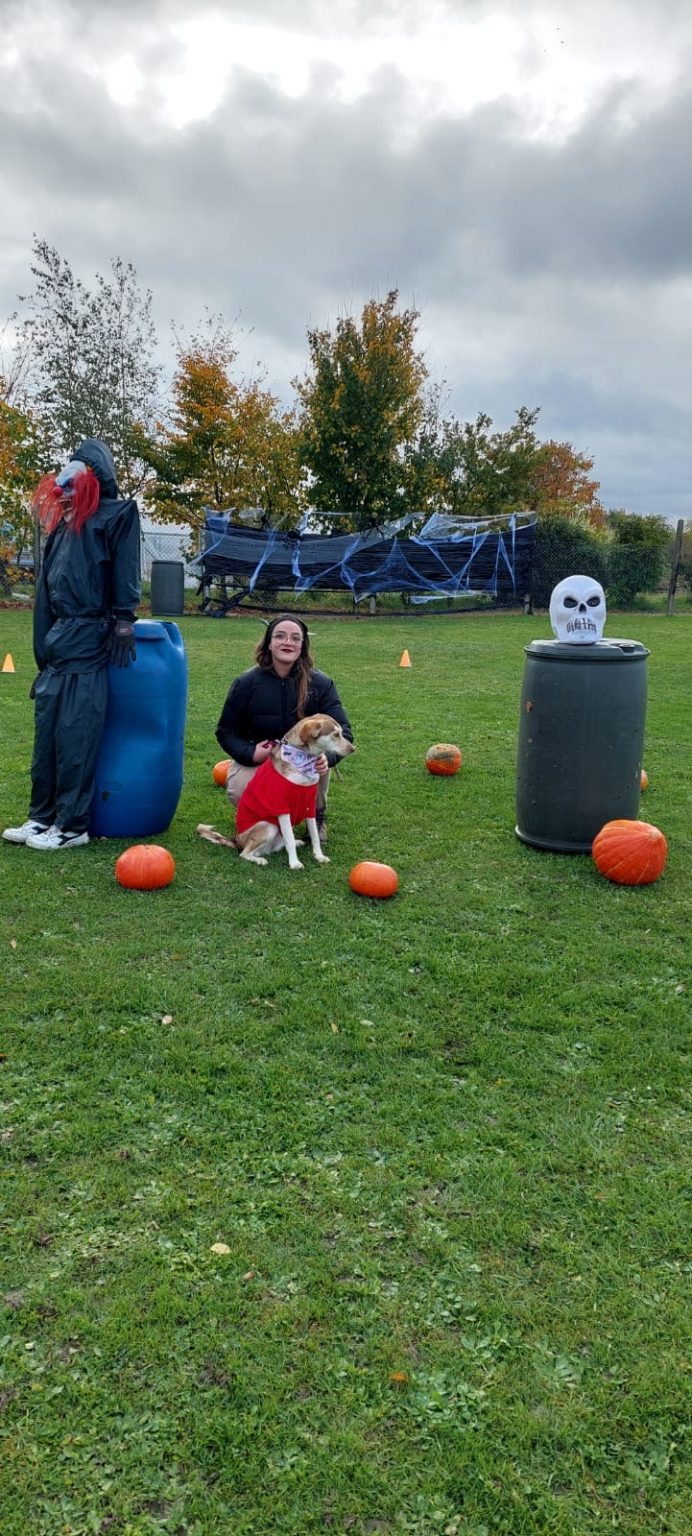 91571c90-2bdf-4051-af75-9334729b5081