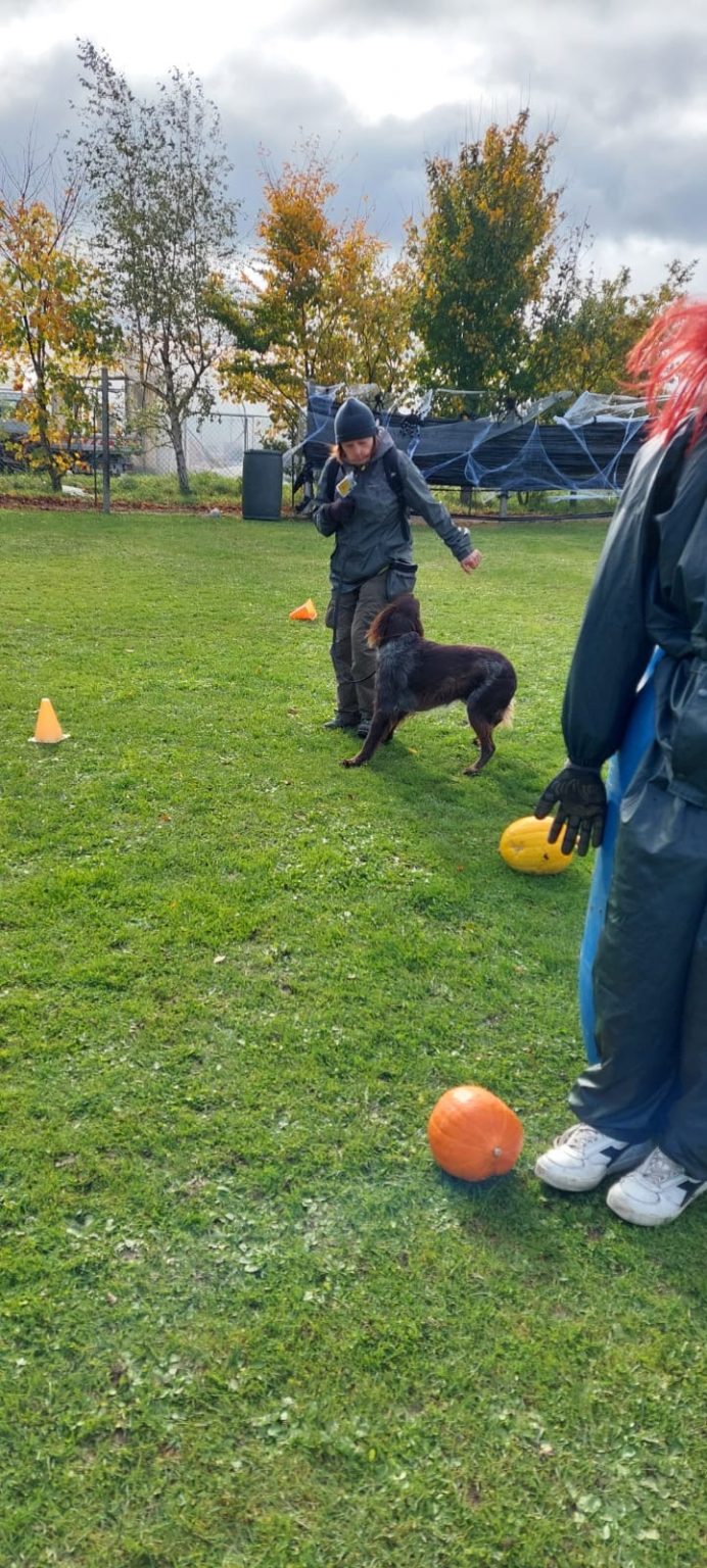 92df000e-9071-45ec-b098-3cb70058a92e