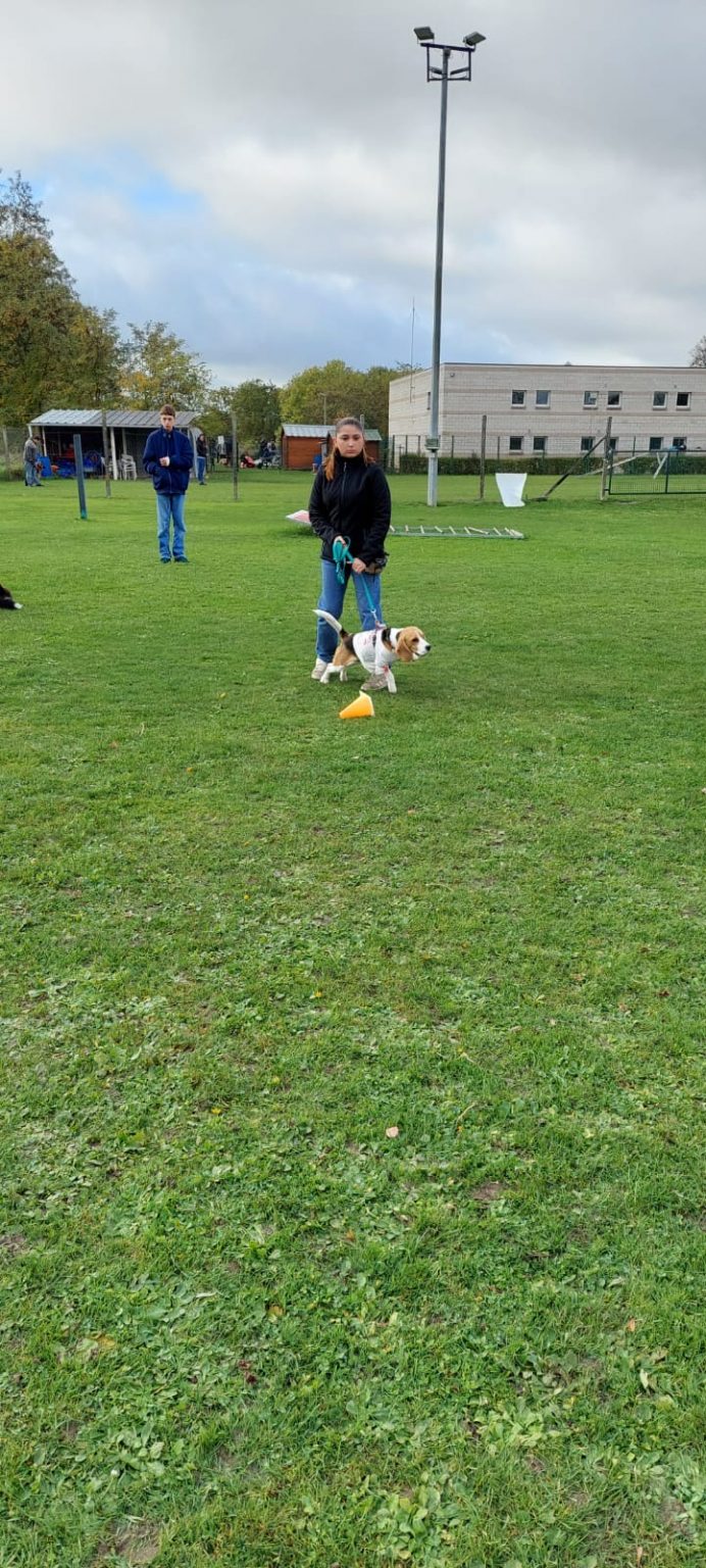 95a9c60f-0a4e-474c-8445-3a1de72c744f 2