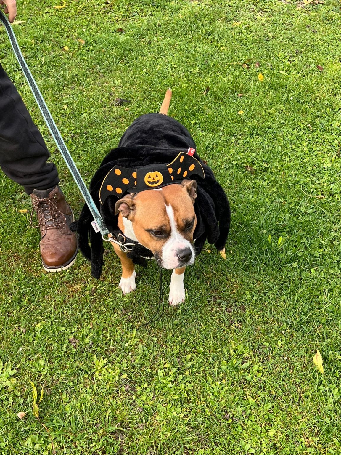 a18d3b71-95ca-45fe-a949-016439f0346f