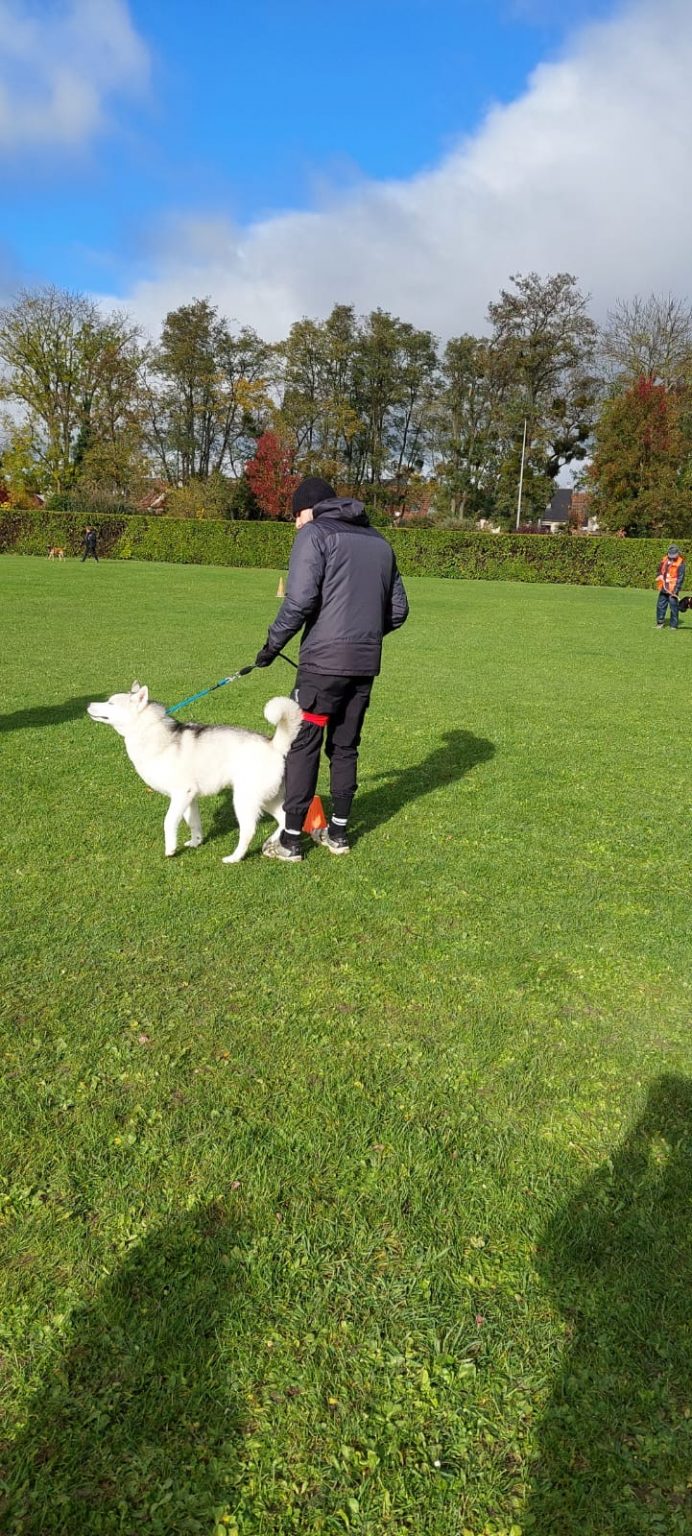 a51ad796-aead-443d-8ed7-89db1d3a362e