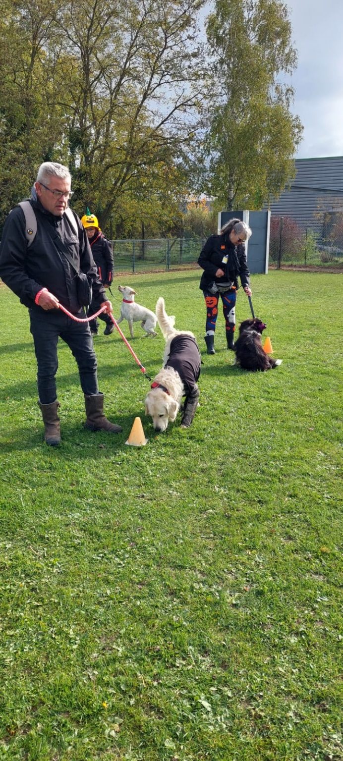 a68b48f1-c794-438e-9e02-24aa1e7cef99