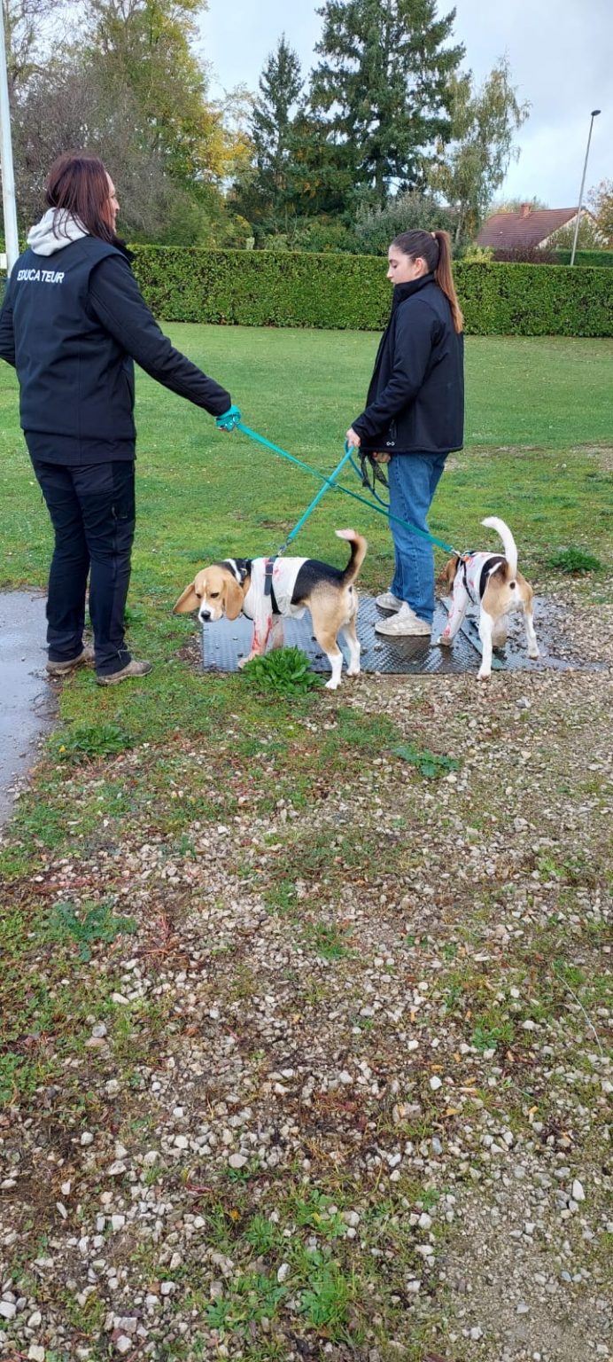 ac33d6d4-1783-4459-9a7e-541da5e8d4f1