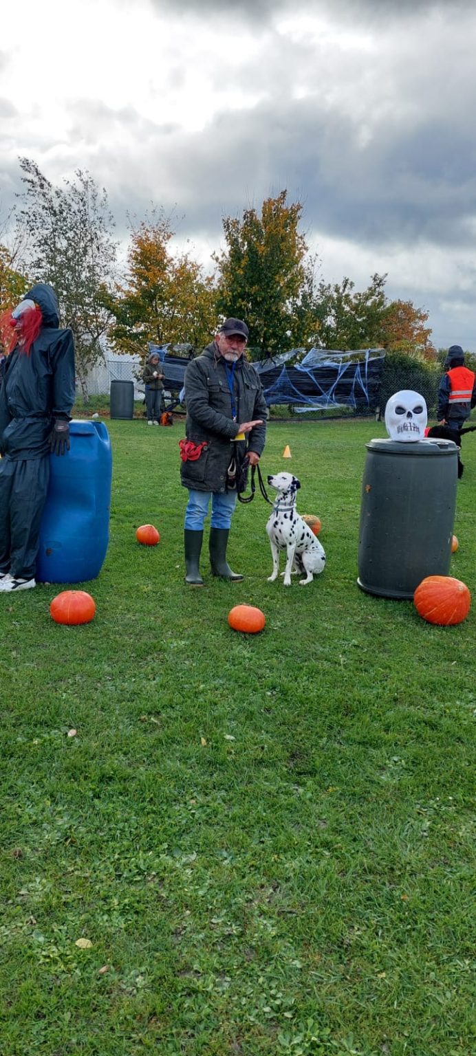 ae6562b3-f35a-4192-8f04-c476377150ad