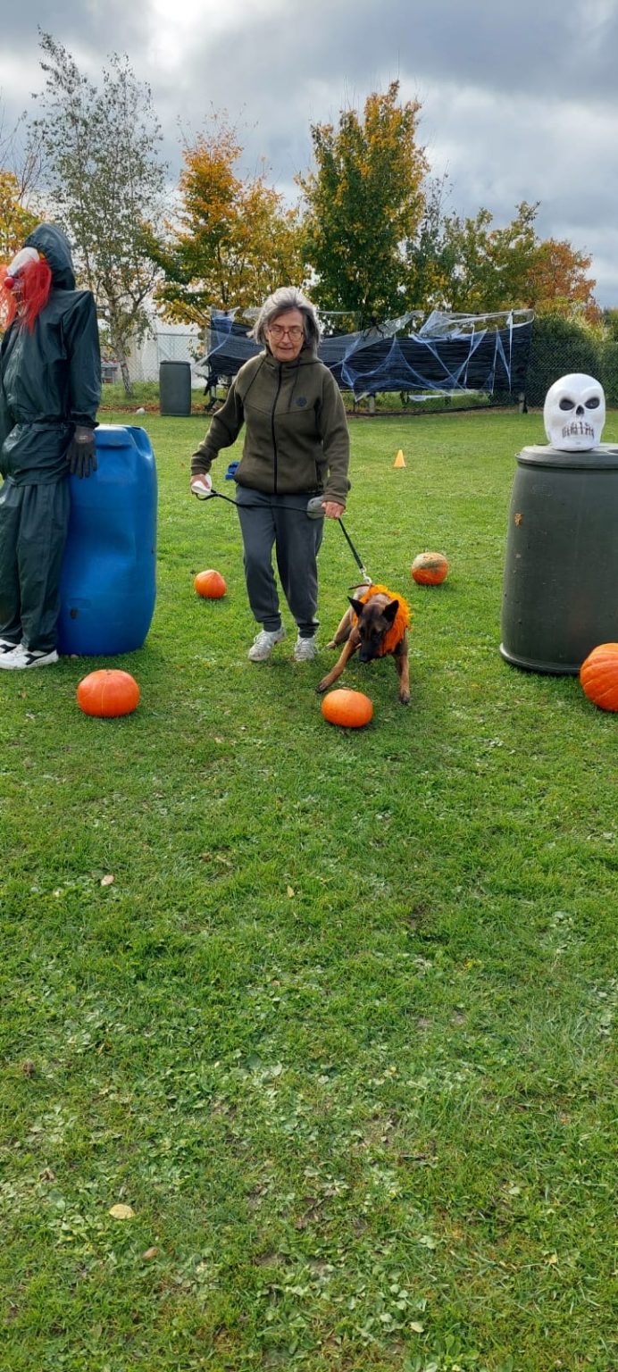 bf5c4e38-a76a-4def-a374-e7efde97593d