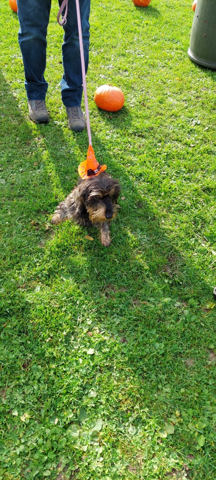 c78810c8-6040-4f79-9f2a-5704dcd5ecd7