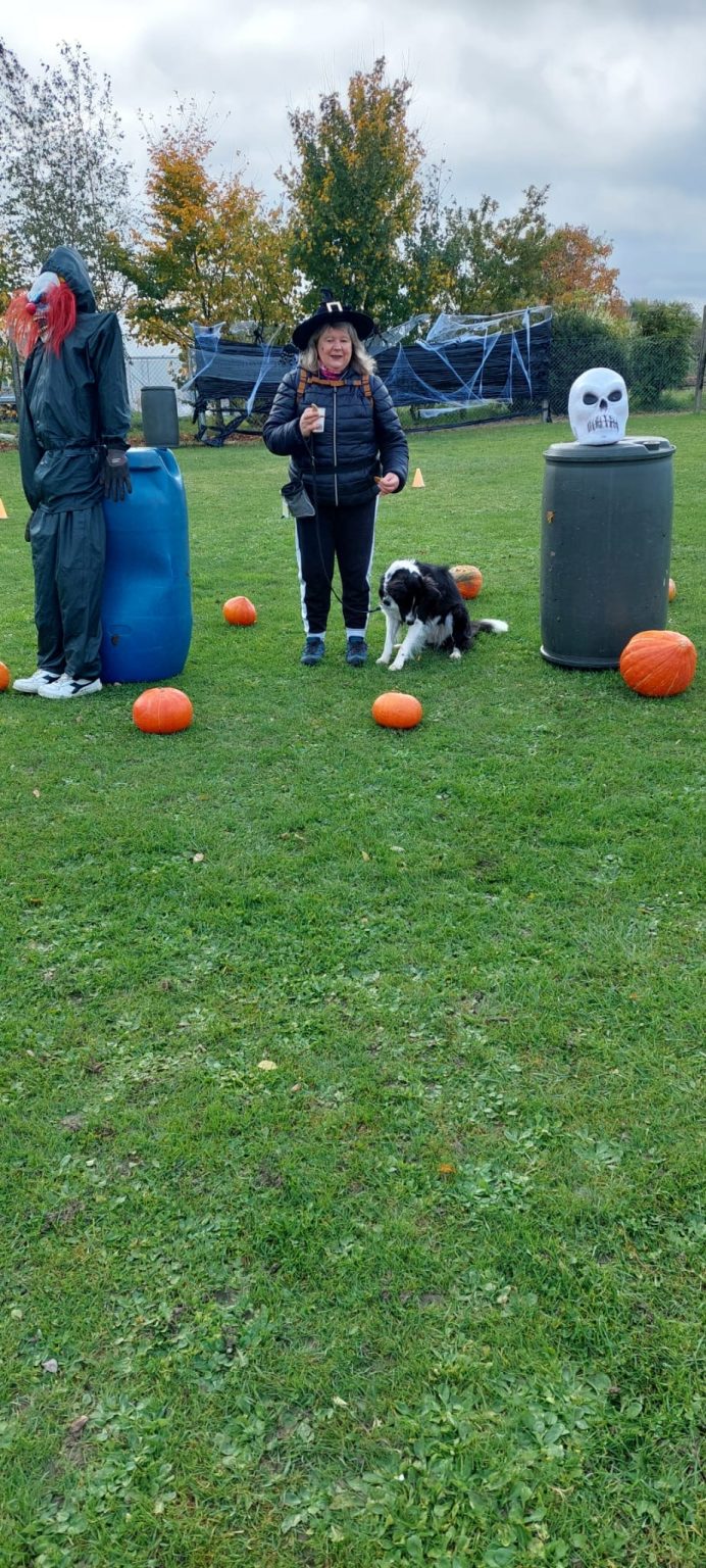 c933726c-b83d-4efb-a4e7-7c029a775be7