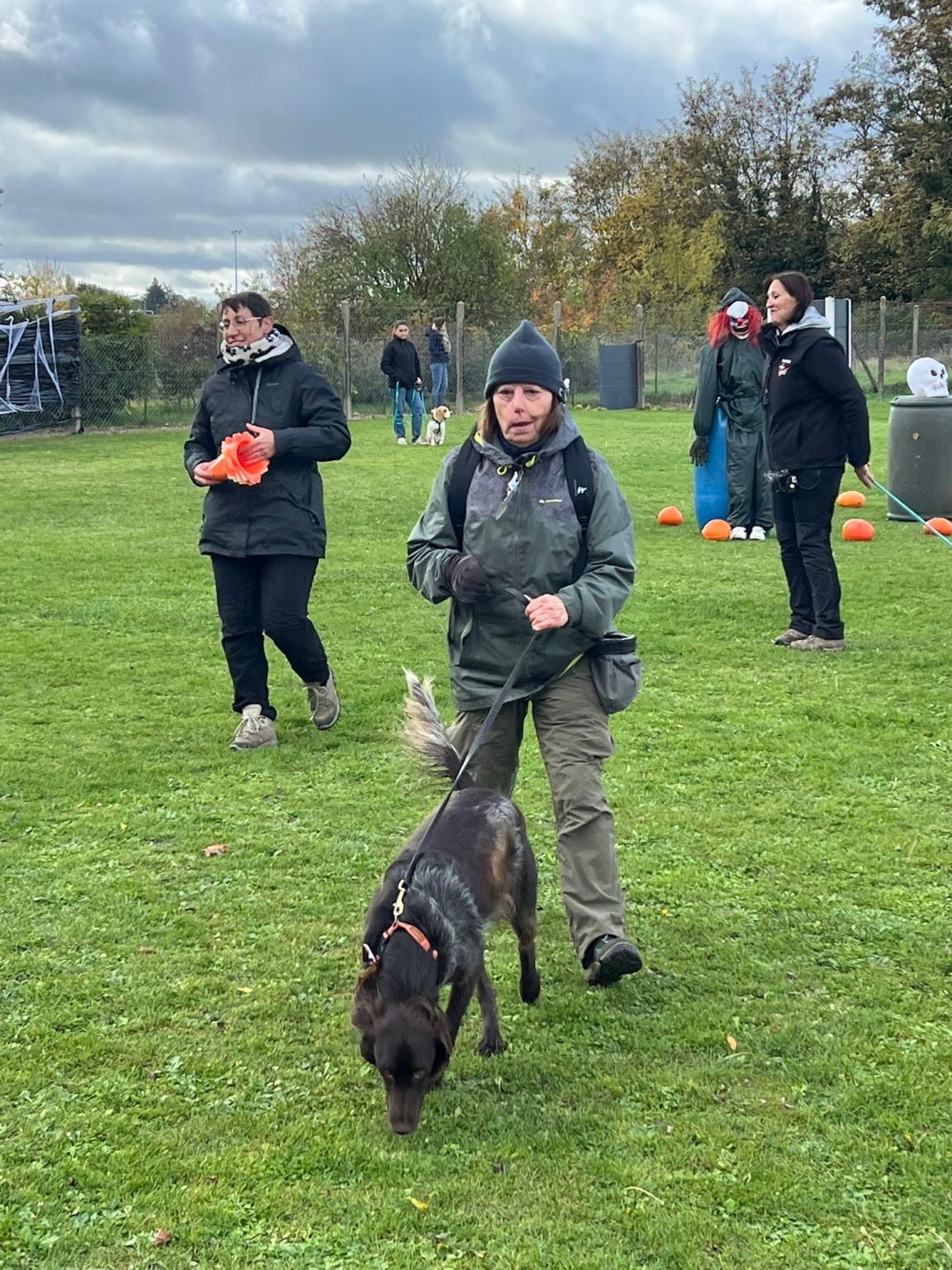 d4120b90-e156-4c8c-903d-0674b76ae3c2