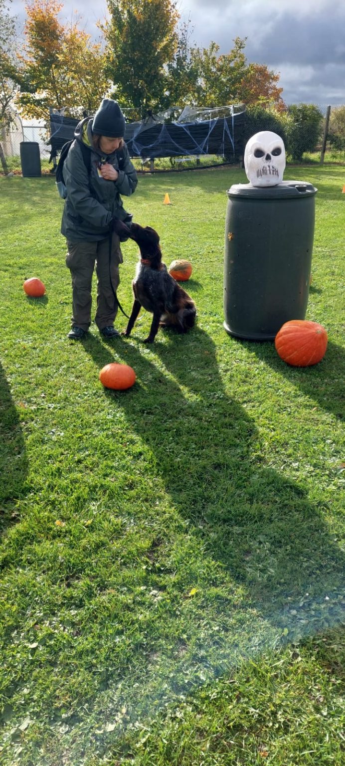 d52b036e-c974-4a0e-b3a4-277497287e7b