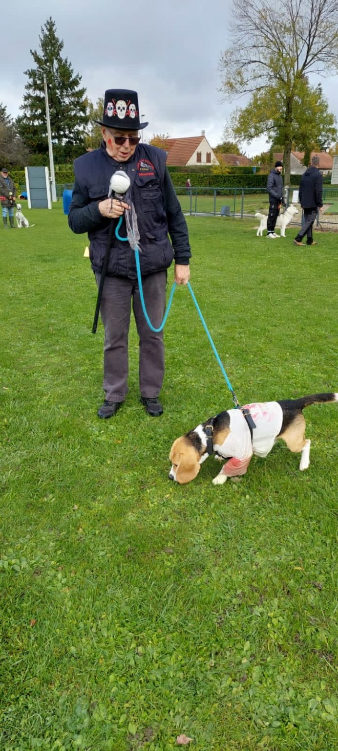 dc6ad081-8b94-4c41-beeb-8edee5f20505