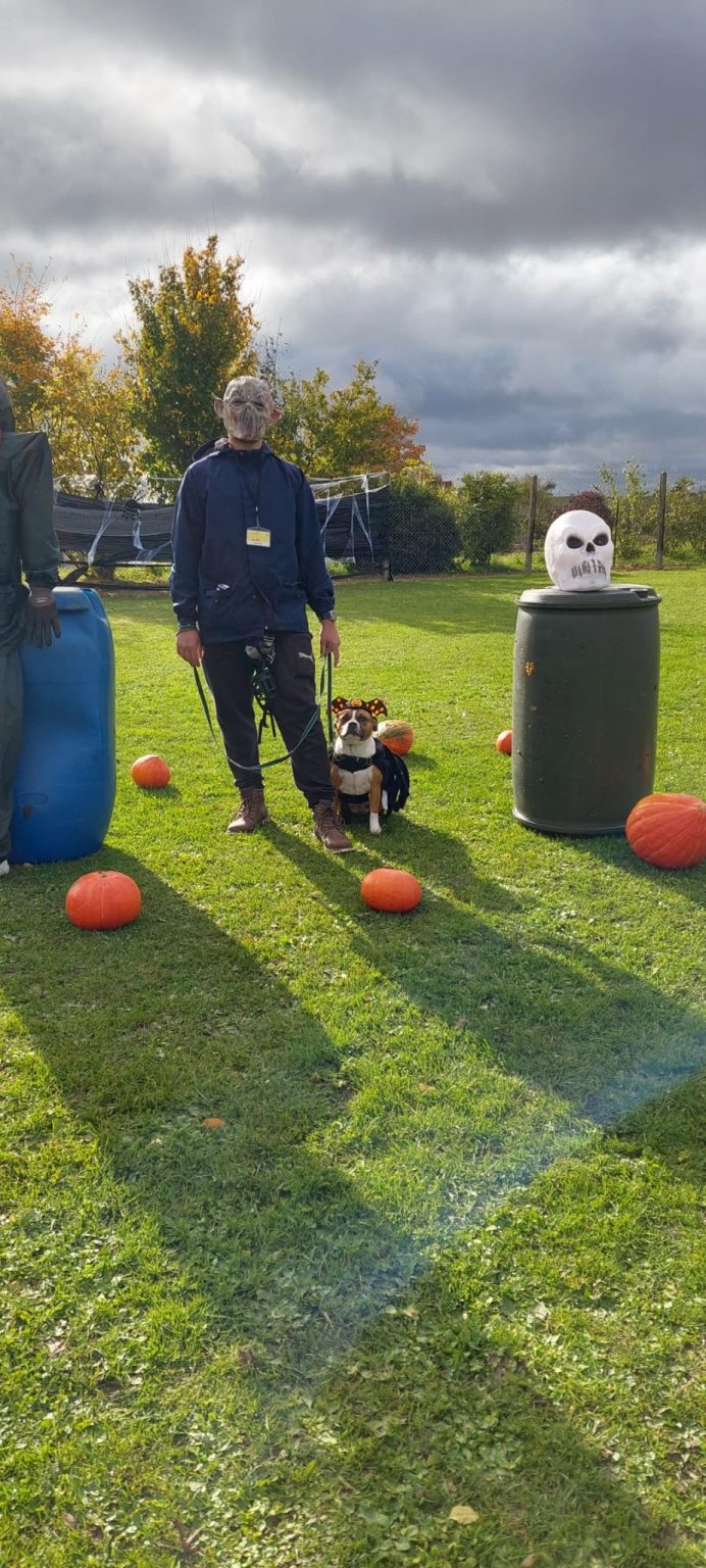 e2ea51b5-16d2-4965-8994-67d213c06cab