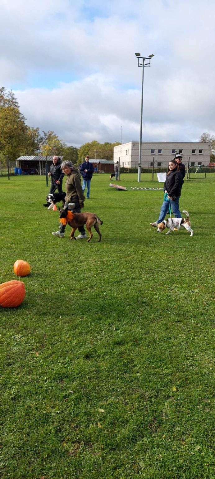 e4063f9a-7631-4d20-a610-0967edd8bcb5 2