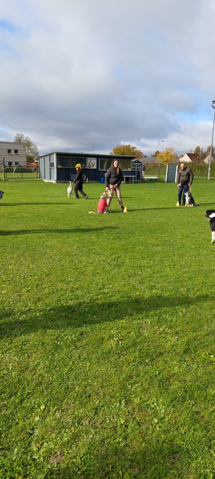 e98a91d5-98fe-406f-8099-1c8c39db2c5f 2