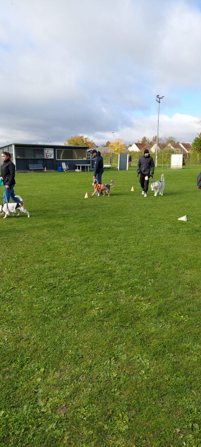 efd6643d-d2fc-4ddd-abeb-678973172335 2