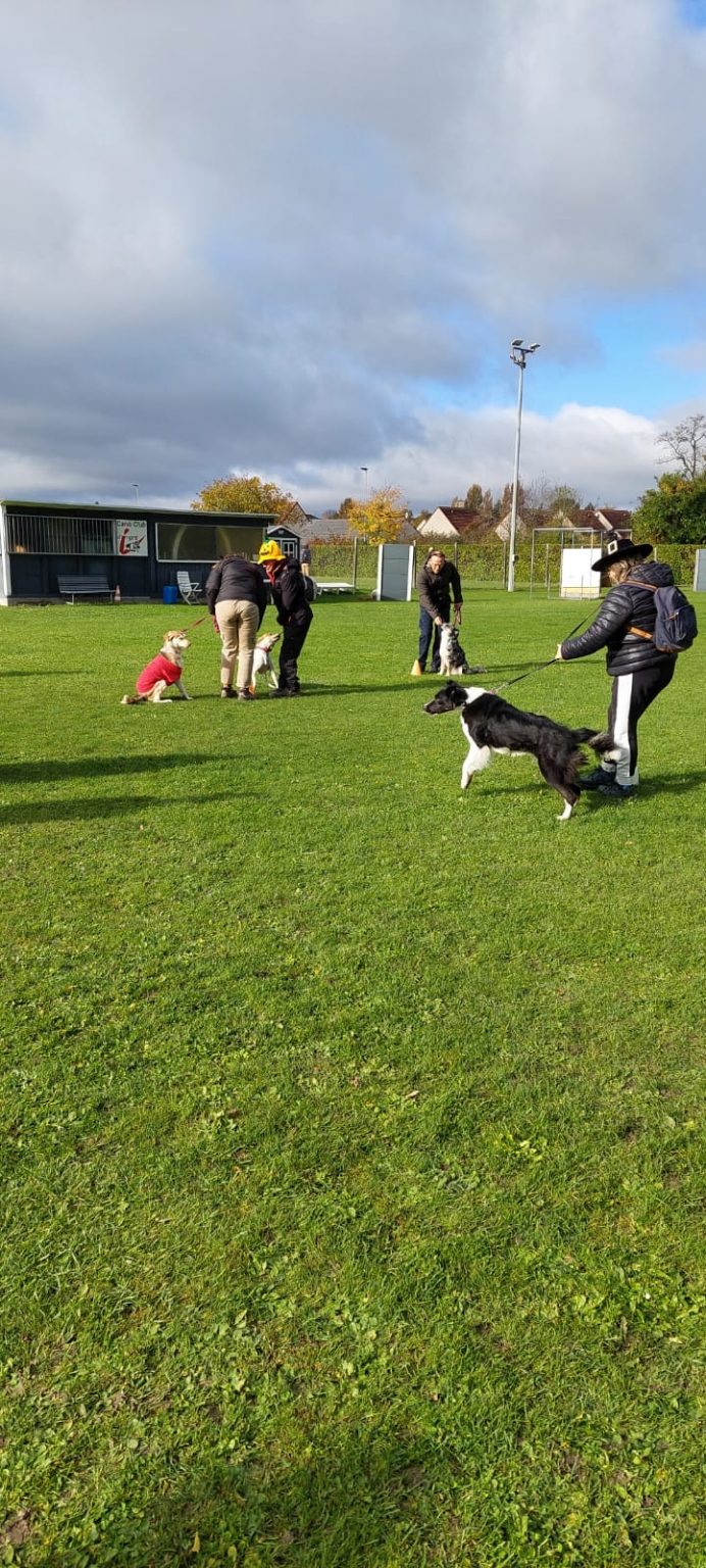 f247ef0d-0258-48cb-85d6-e65d71dc5836