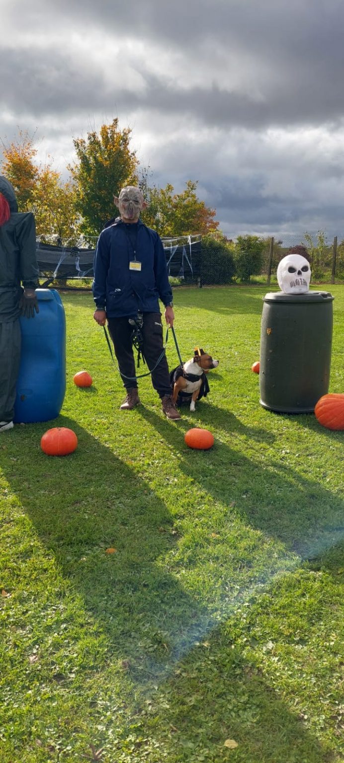 f721d16a-b522-486c-8eb0-77b54a293a97