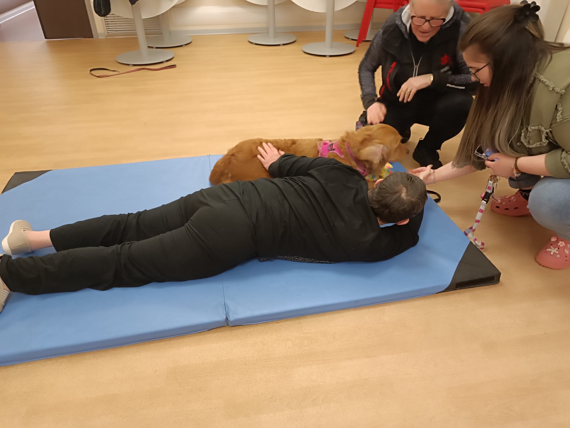 657add82-7903-4969-80ae-1428ea72df82