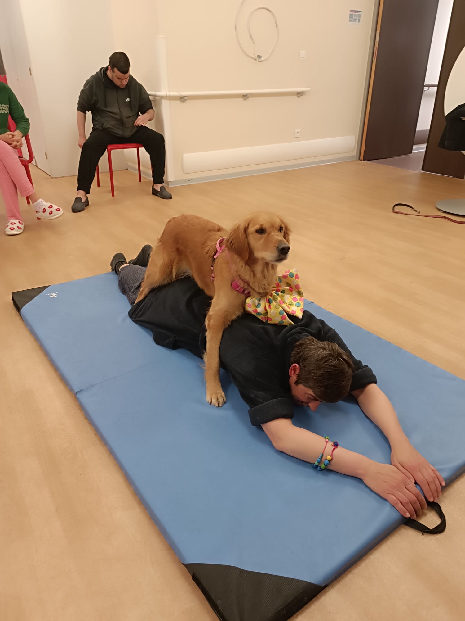 ef66b868-d481-4b5d-8404-ea8010663049