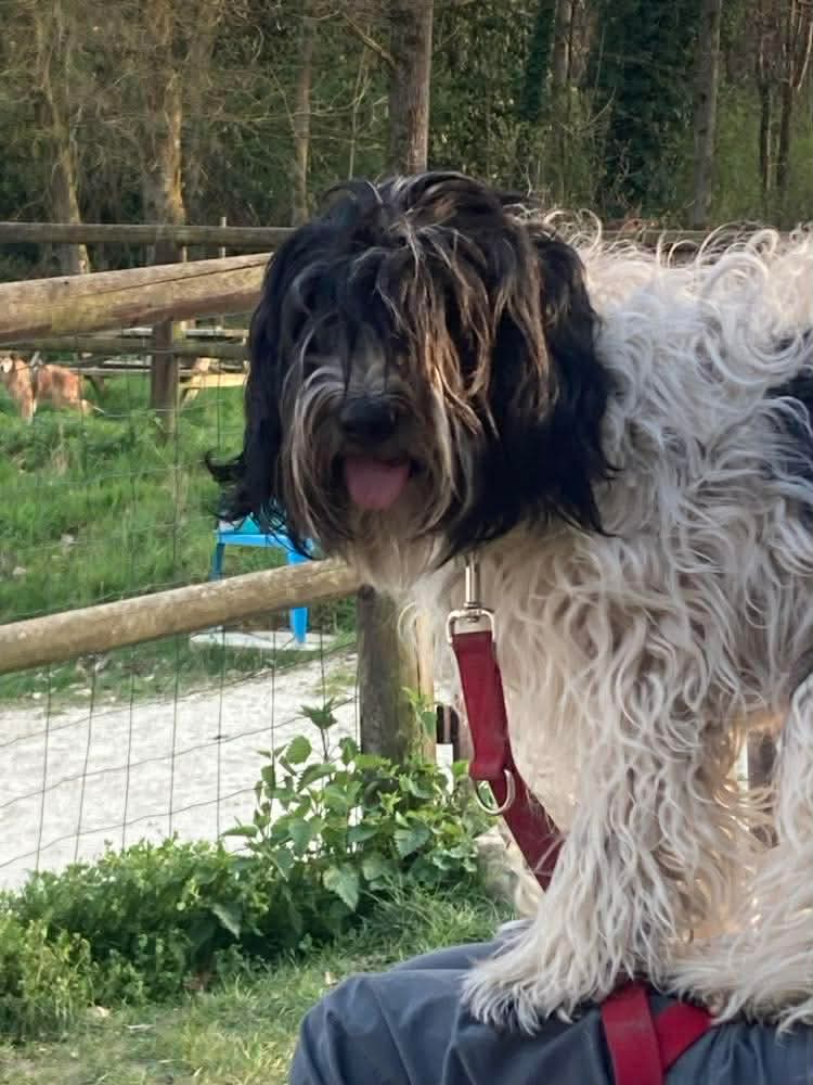 1784c3b338a2d91c1b3bf289073f1dba