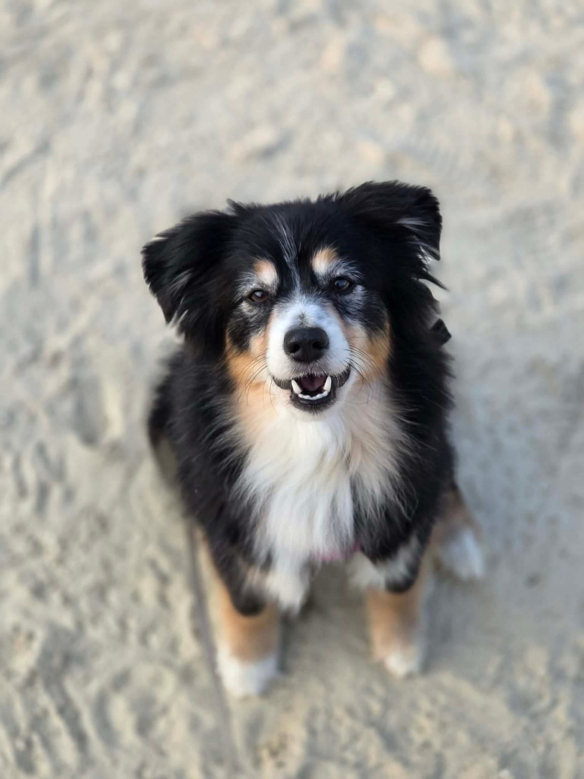 3a50a6d7fa656c2d27e1208cf91dbc04