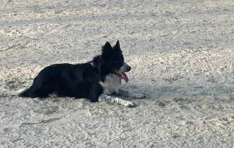 516936f59b8bc53f28f5fc294efc08ea