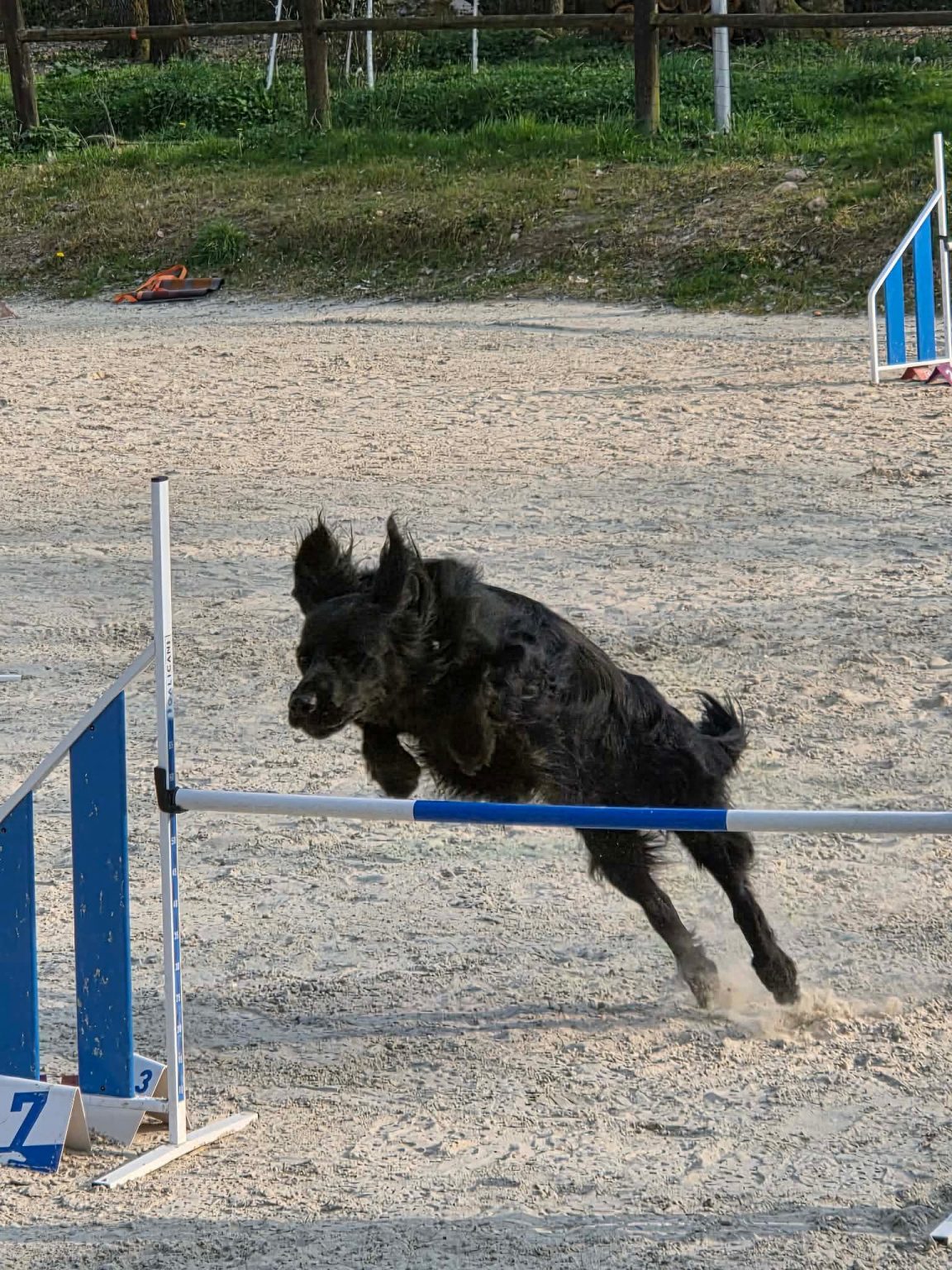 5678a2dc87ad7b9279a877fbad437220