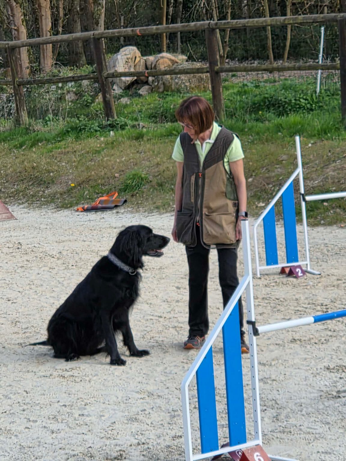 64d609e2e36688cb14b9399b178251fa