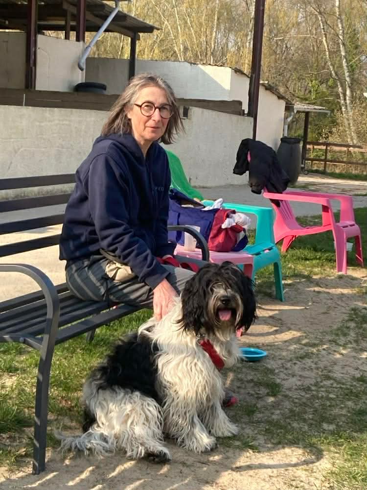 97c2b6c91ec877943b87cfc38a0e020d