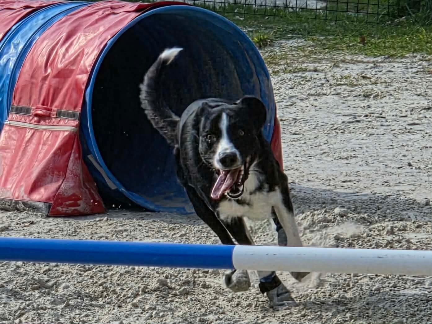 9ed2624c20ac61832d24061f86ec0905