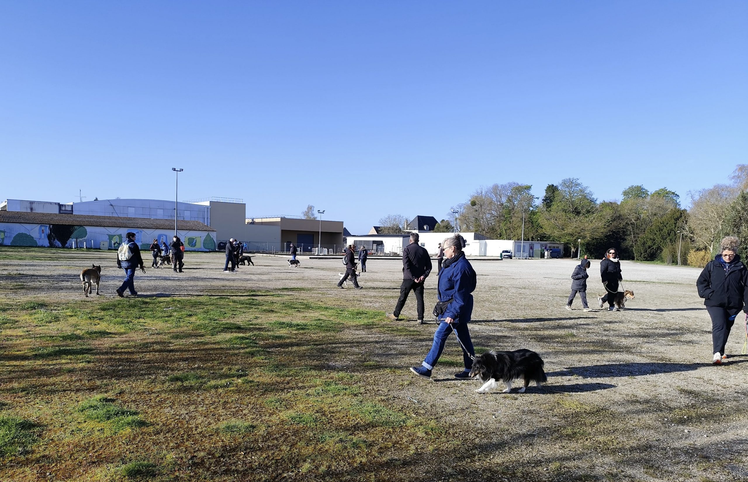 att.LP1ViaDBWdtKioXaDVRmzBm208x53sbT6JSPQhzKI9Y