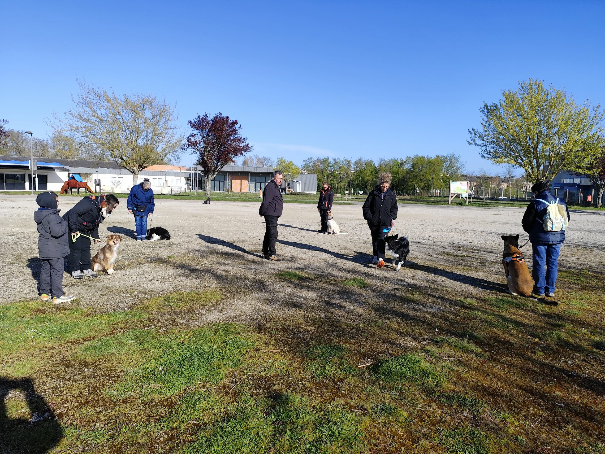 att.ai9mMesYl_HWdqXVam2Yv3_noltYGcS6hCT4Yf44V9U