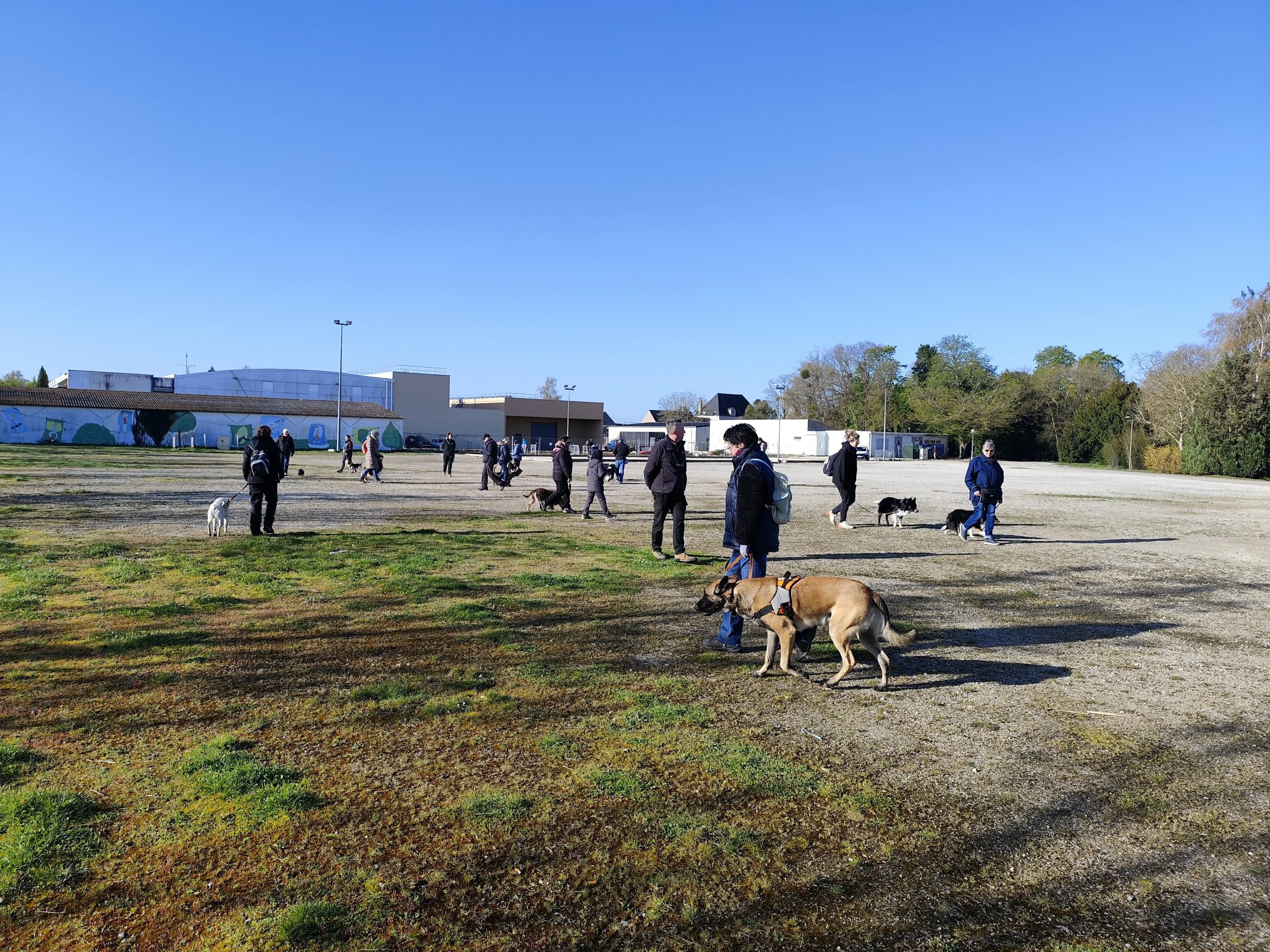 att.lTspQ9Ps5KZUrZGnmAzOZ06i7rgSzR5cAJJMqCrVJo4