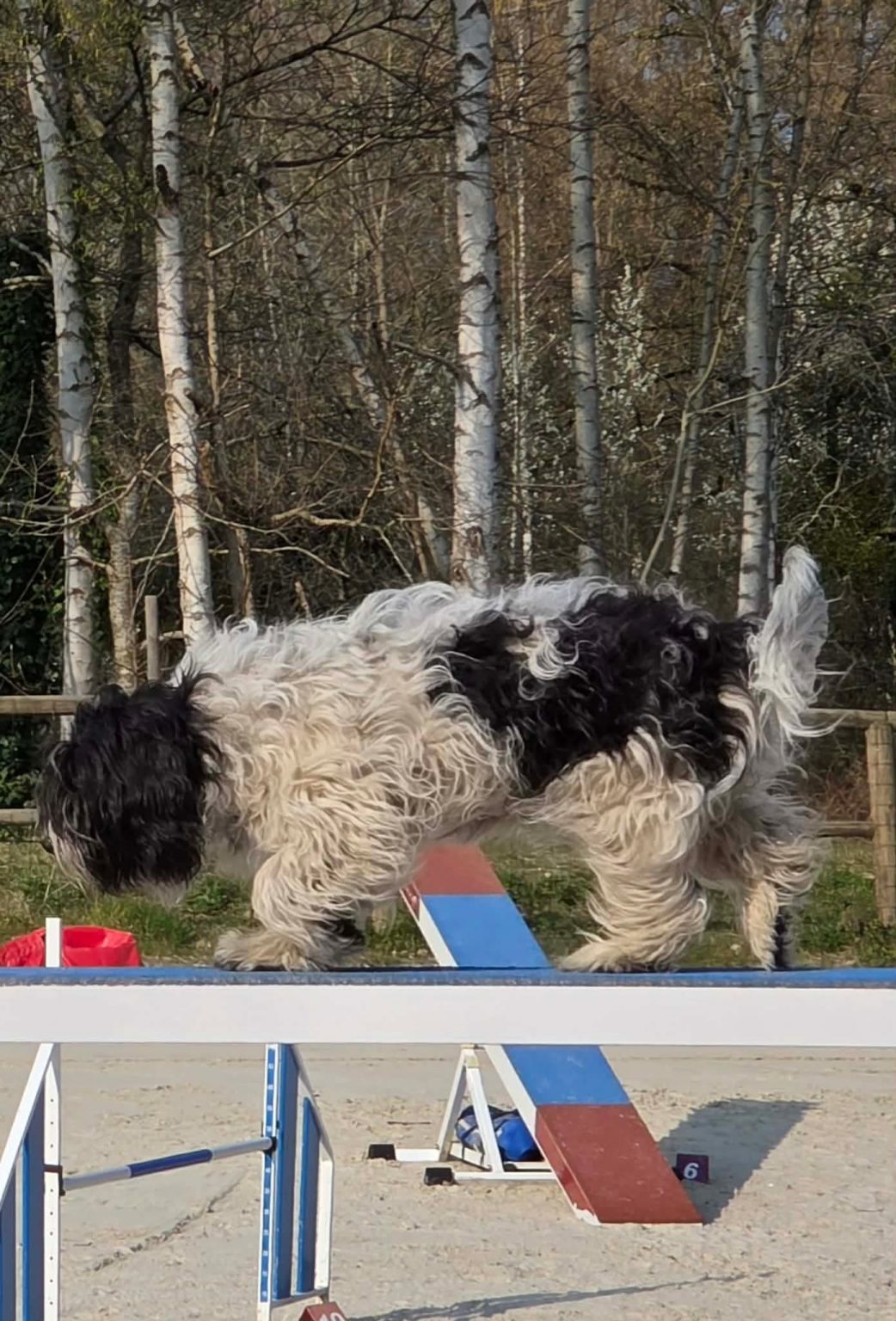 e6e87f7859dd7a3cfb5ca6d7bf12e84f