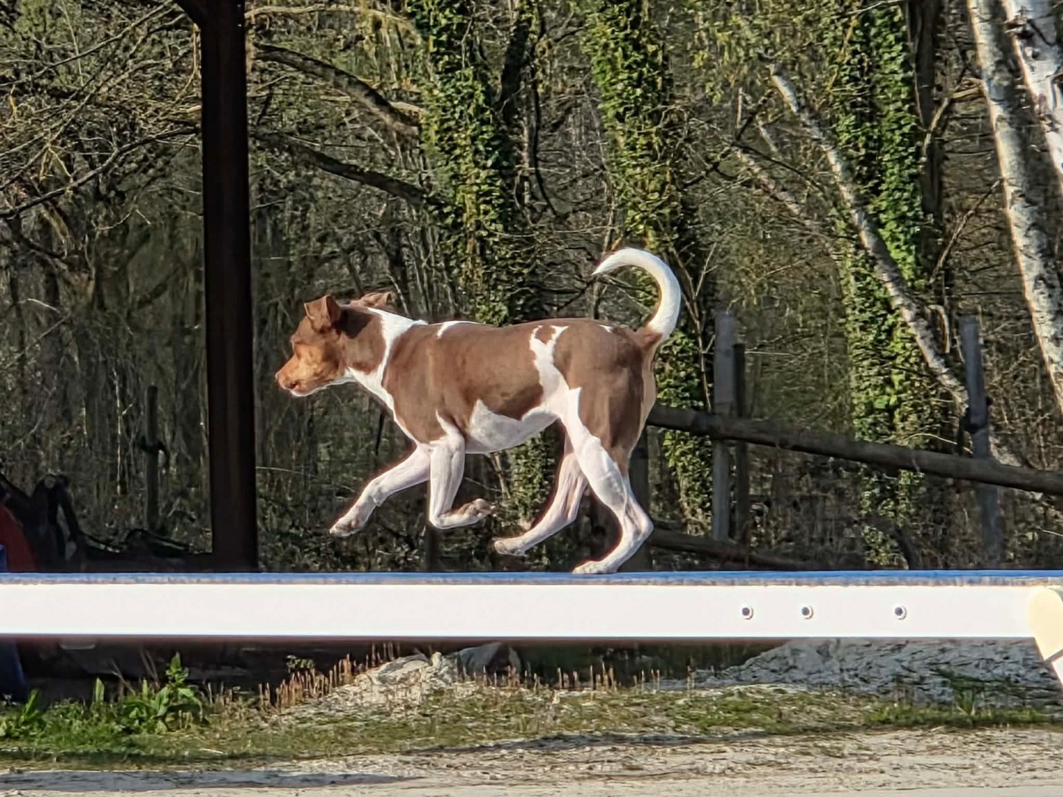 f45a3fabeb6d7910155e1d4f1d44d56a