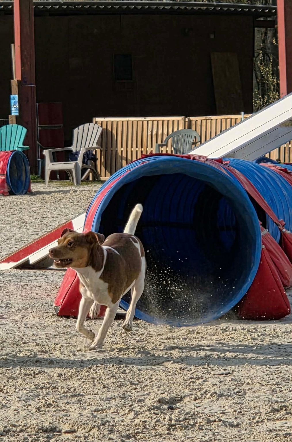 f4cb2dd776125230da613d080f76d93c