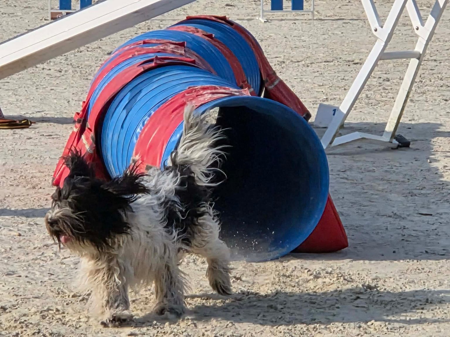 f7c424d5fd2d80a22bfb3f541ba37ea5