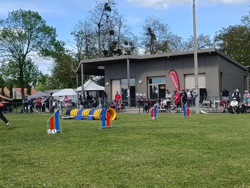 PHOTO-2026-04-24-19-24-30 2