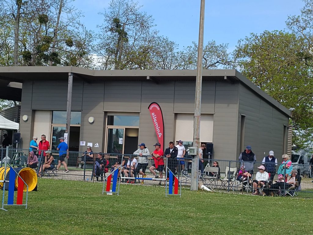 PHOTO-2026-04-24-19-24-30 3