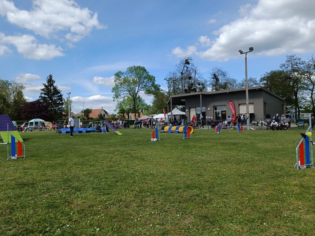 PHOTO-2026-04-24-19-24-31 2