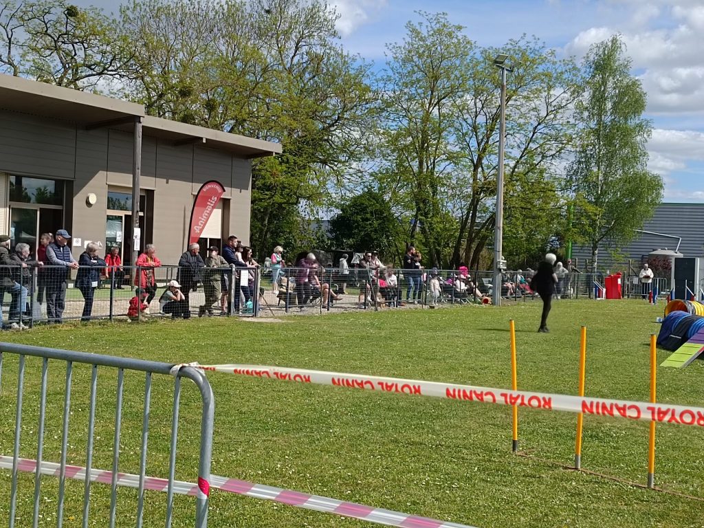 PHOTO-2026-04-24-19-24-31 3