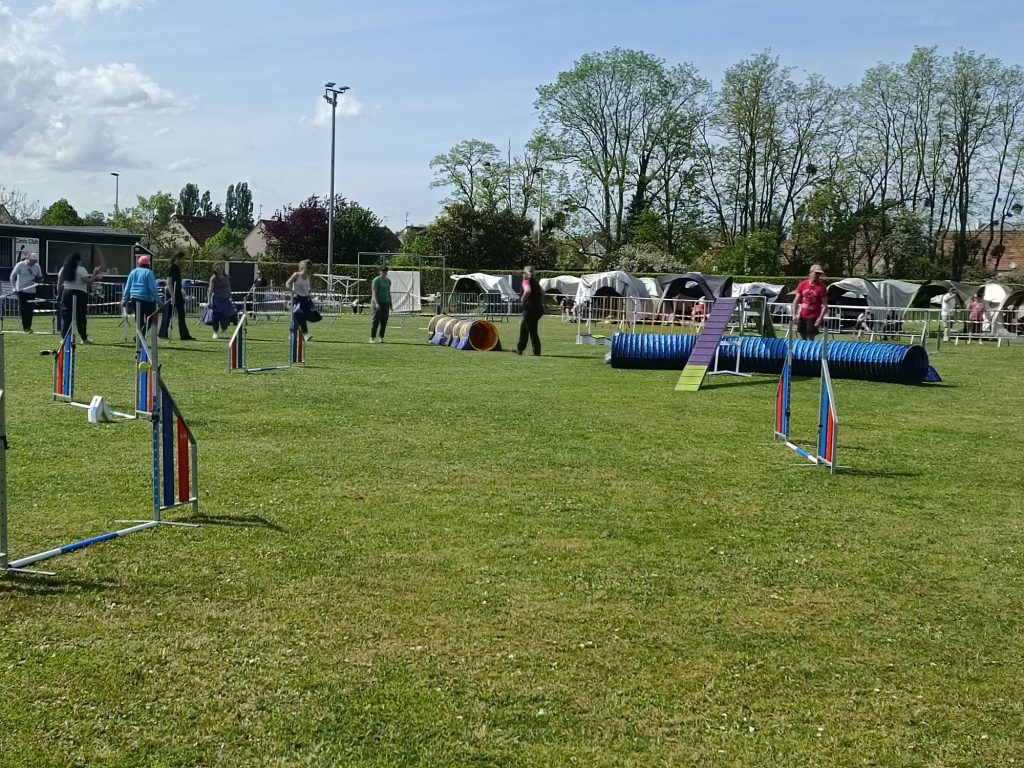 PHOTO-2026-04-24-19-25-18 2
