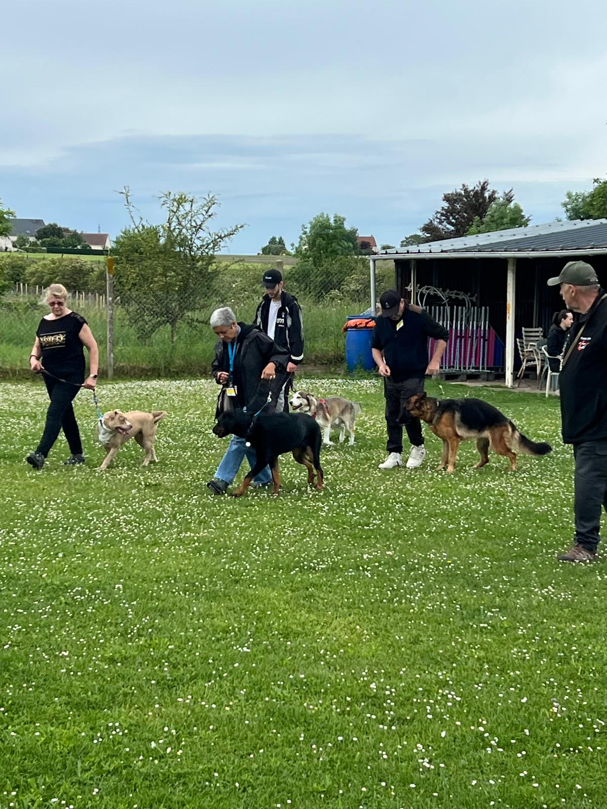 PHOTO-2026-05-10-18-55-26 3