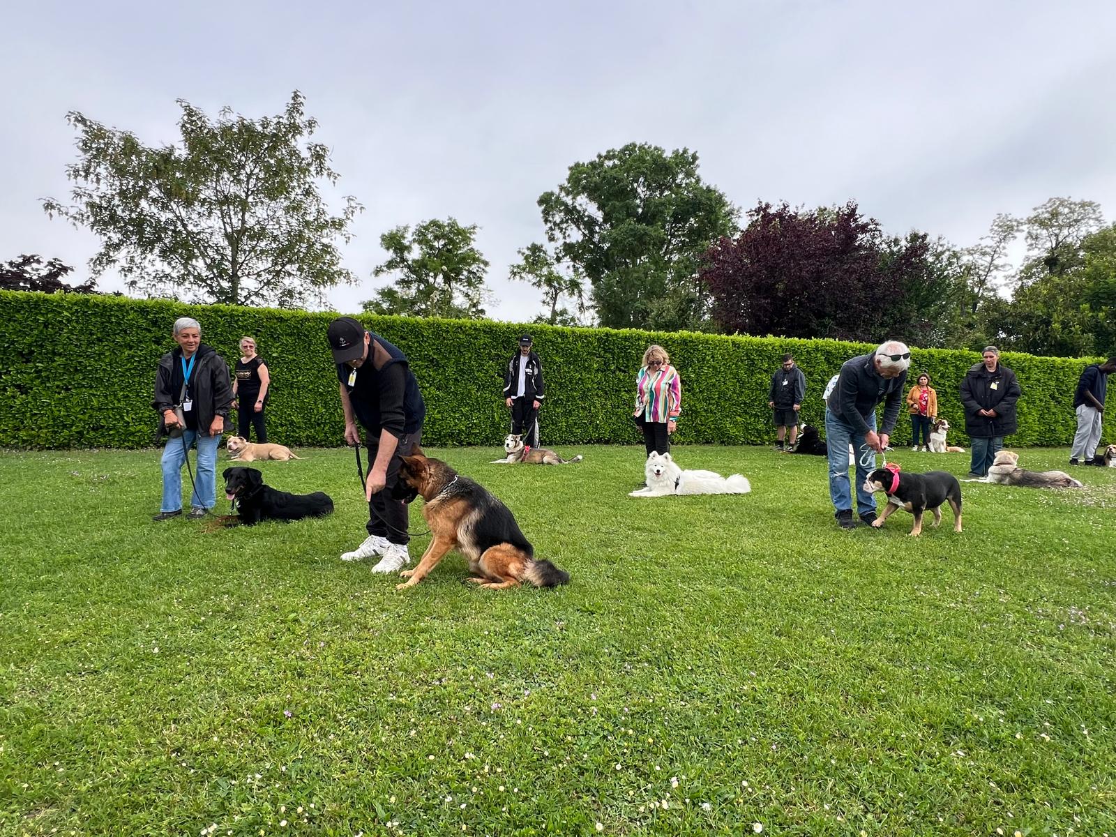 PHOTO-2026-05-10-18-55-26 8