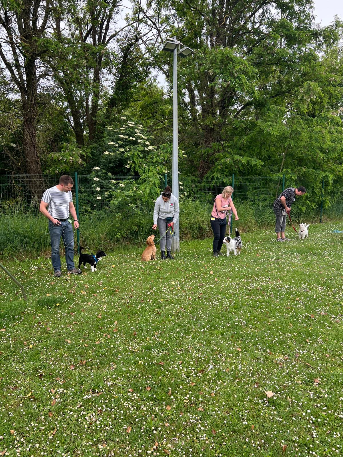 PHOTO-2026-05-10-18-55-26